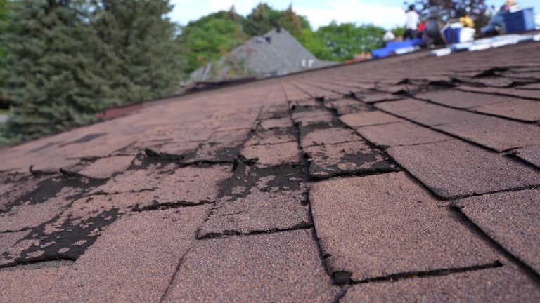 Best Roof Moss and Algae Removal  in Omaha, NE