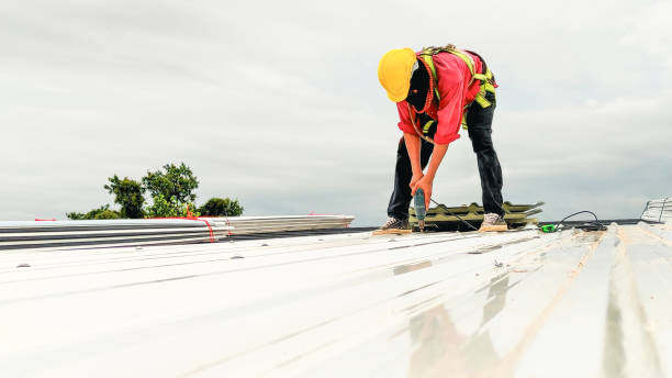 Best Roof Waterproofing  in Omaha, NE