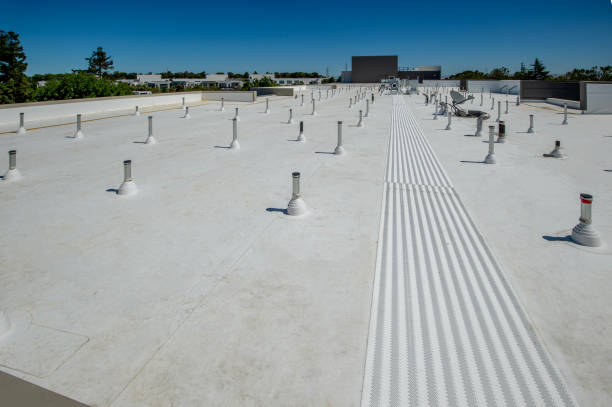 Best Asphalt Shingles Roofing  in Omaha, NE